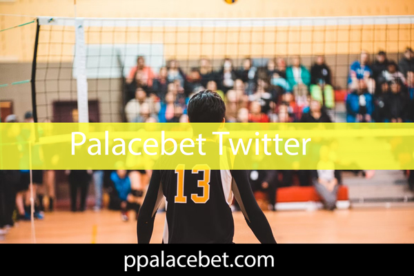 Palacebet twitter resmi adresi üzerinden sosyal medyada aktiftir.